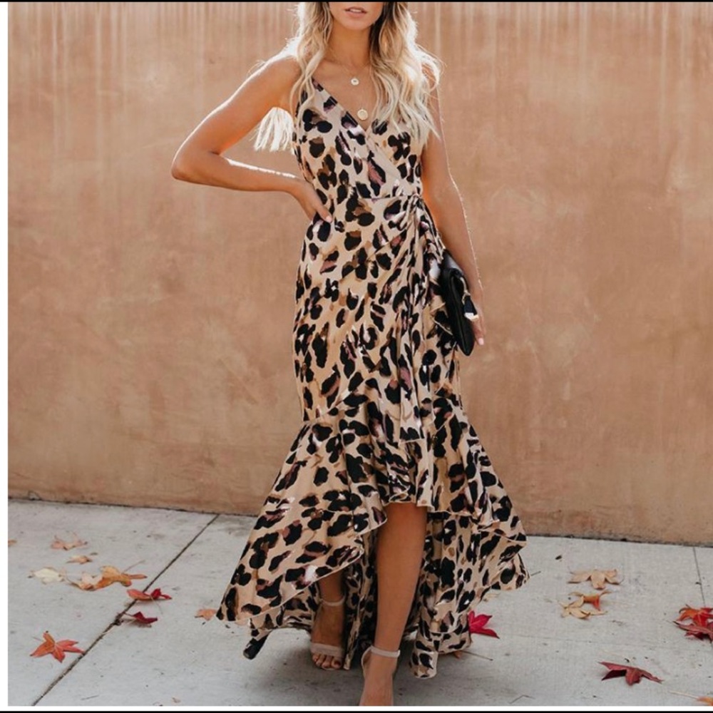 Leopard V-neck Maxi Dress, Medium